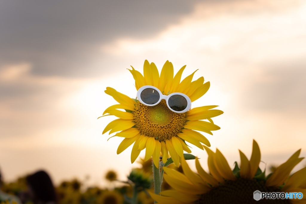 夏が眩しいぜ！