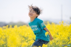 菜々花畑