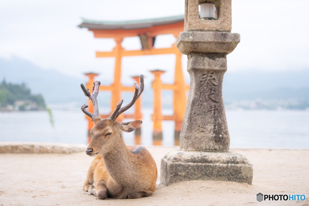 うとうと
