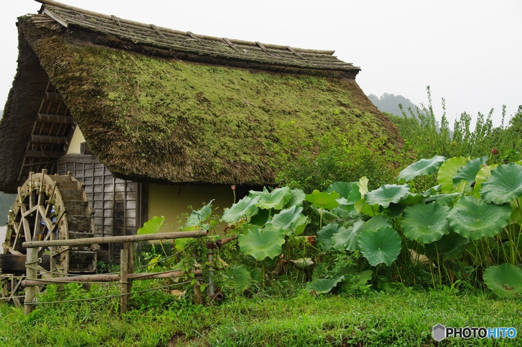 日本の原風景