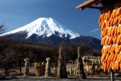 懐かしの風景