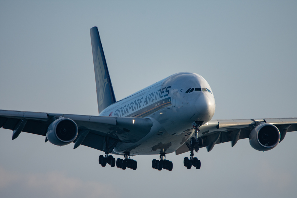 エアバスＡ３８０　ランディング①