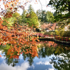 高野山 紅葉⑤