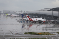 雨のウイング