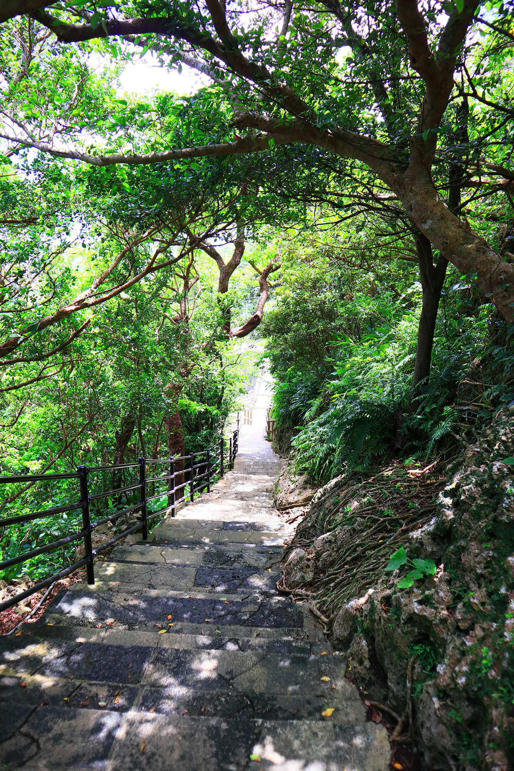 浦添城跡②