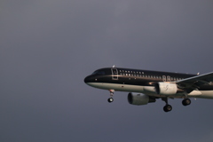 黒飛行機