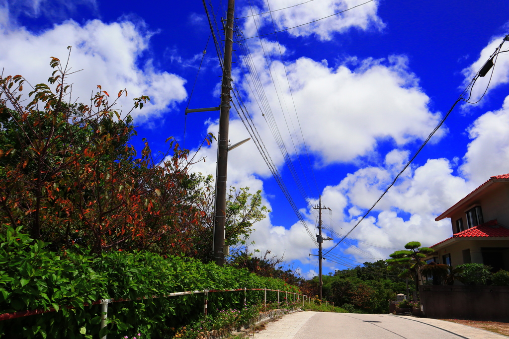 浦添城跡