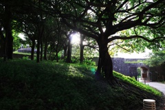 首里城公園