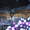 まんのう公園イルミネーション