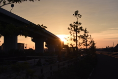 散歩中