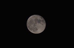 中秋の名月　1日後