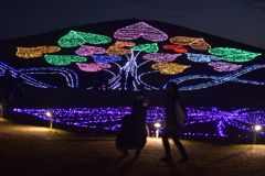 まんのう公園イルミネーション