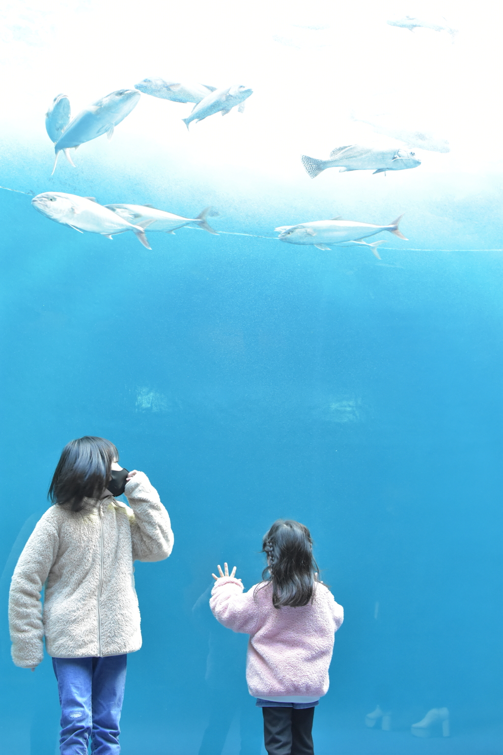 四国水族館