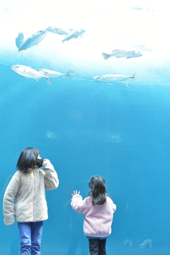 四国水族館