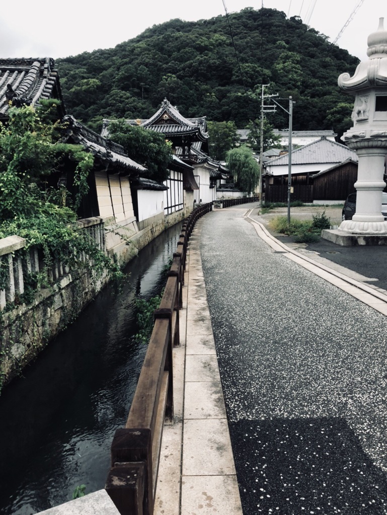 F3E94A6A-3B71-44ED-98BD-FBD47D663AAF