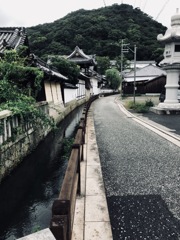 F3E94A6A-3B71-44ED-98BD-FBD47D663AAF