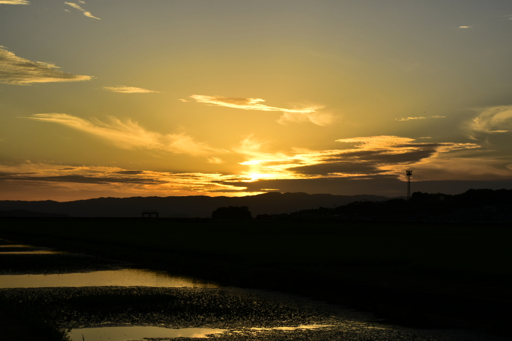 夕焼け