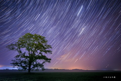 星見
