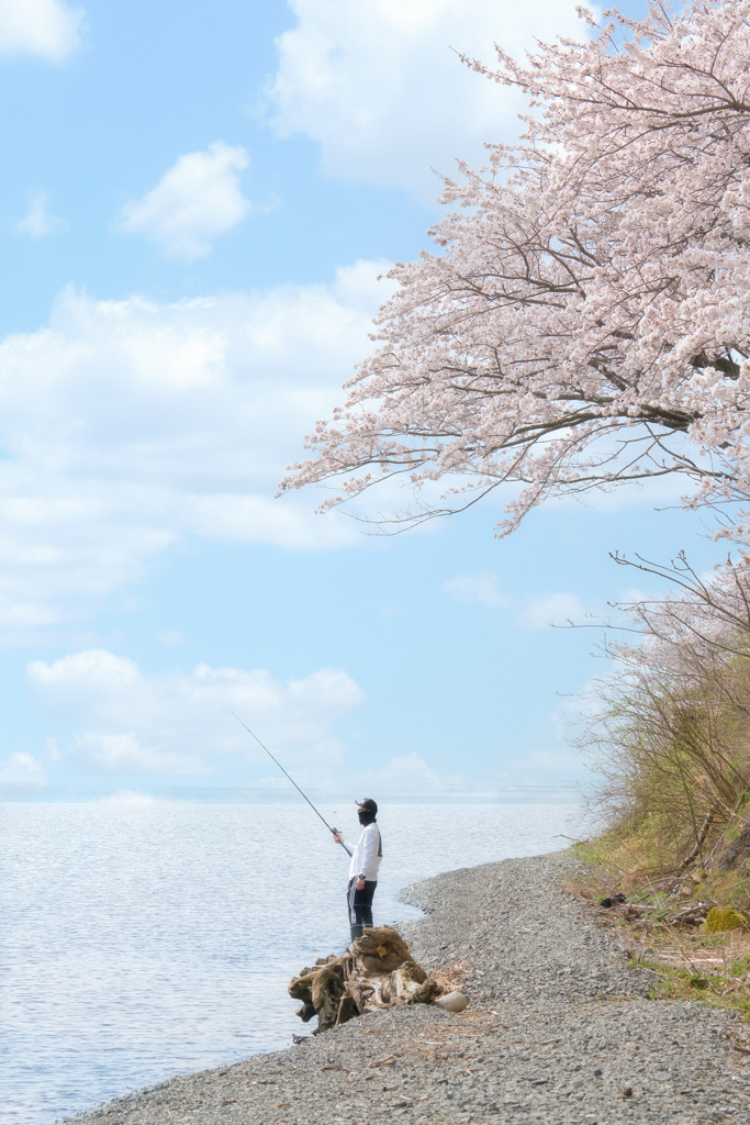 第一釣り人発見！！