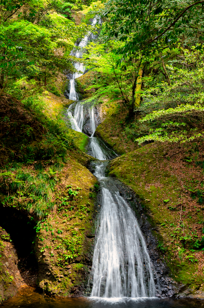 阿寺の七滝