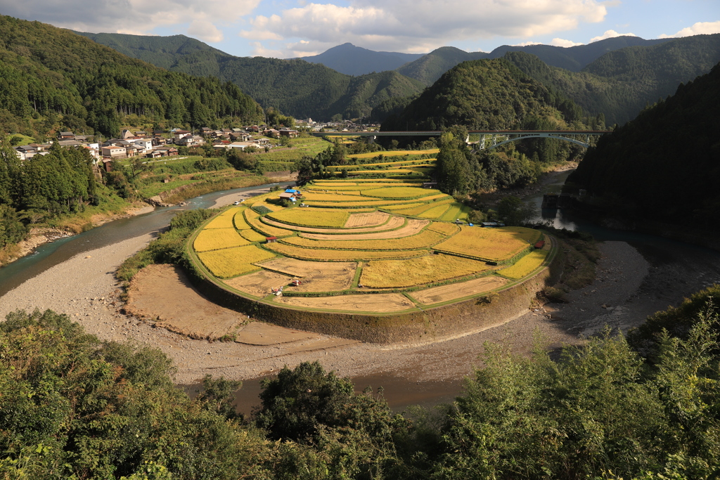 秋の収穫時期　あらぎ島