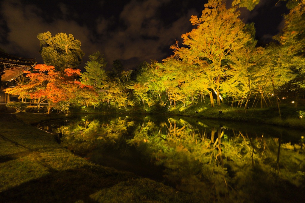 夜拝観の高台寺