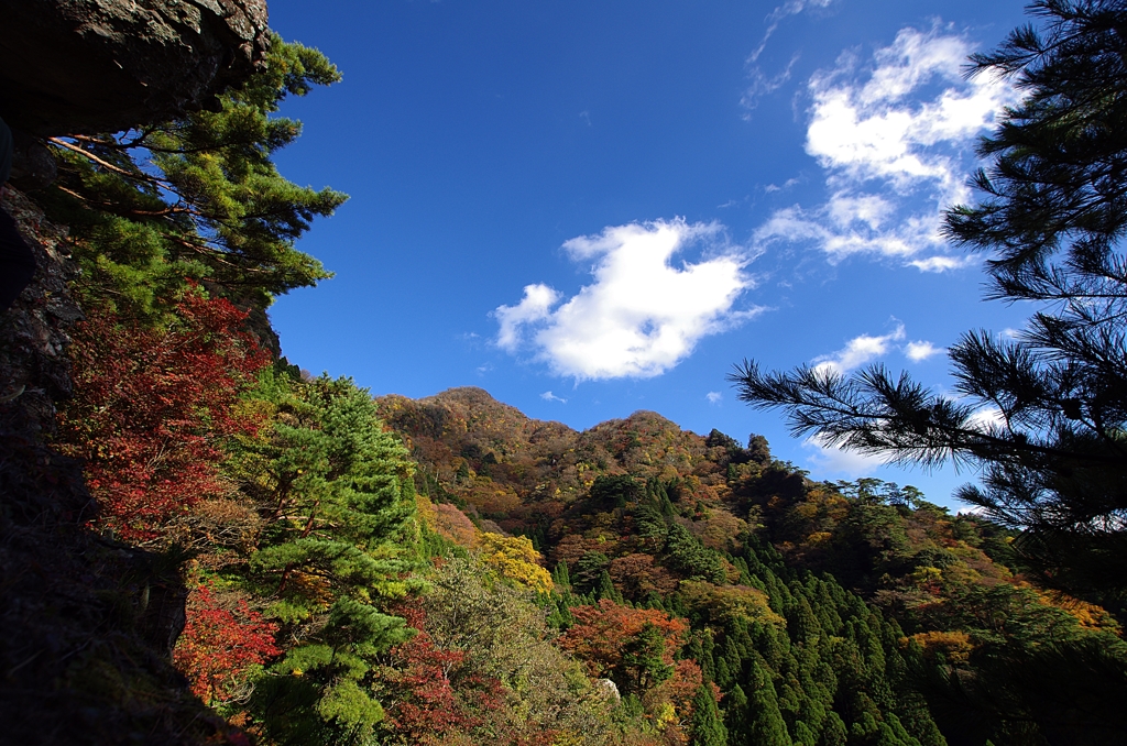 紅葉を追いかけて