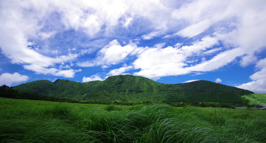 タデ原湿原