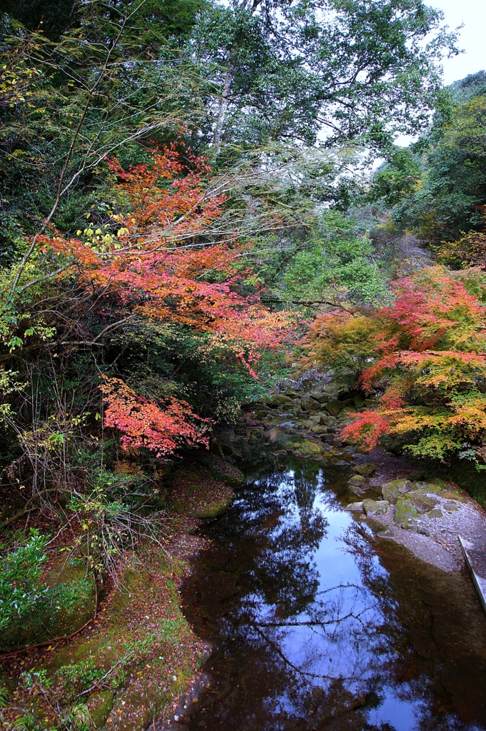 耶馬渓の紅葉