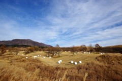 瀬の本高原