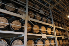 いっぱいのたる