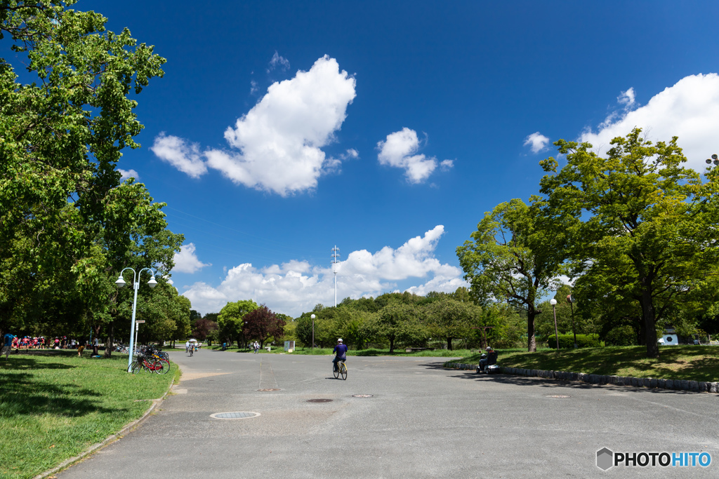 花博記念公園の風景