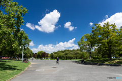 花博記念公園の風景