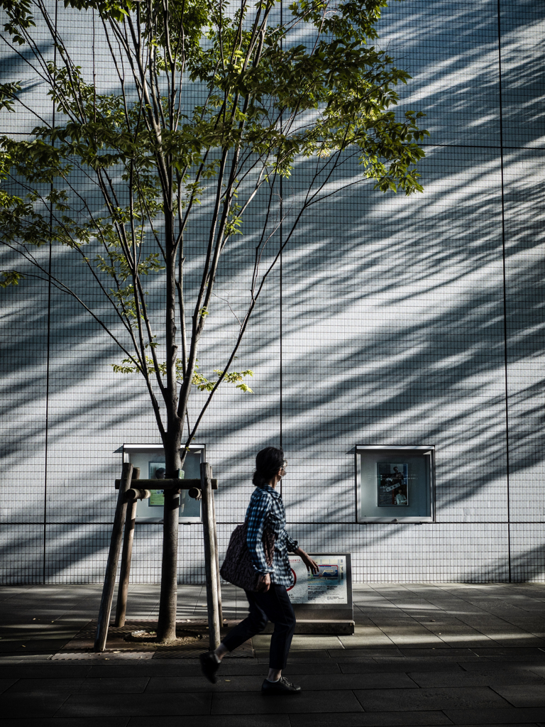 Shadow　影 #1