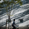 Shadow　影 #1