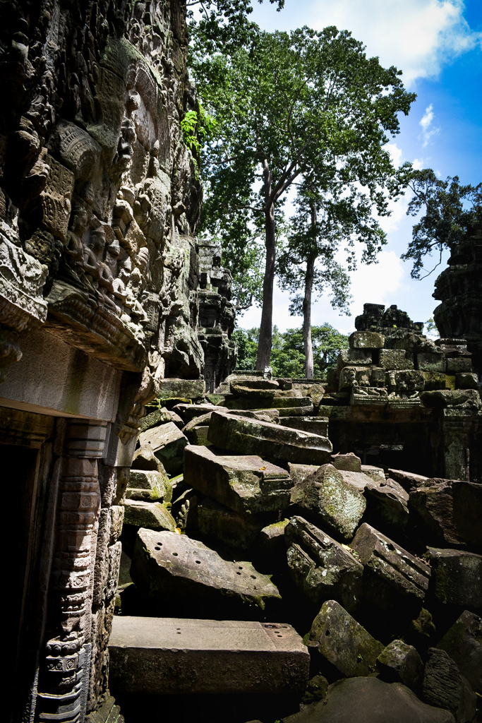 Ta Prohm 07　梵天の古老