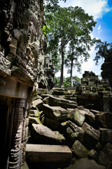 Ta Prohm 07　梵天の古老