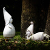 Woodland fairies