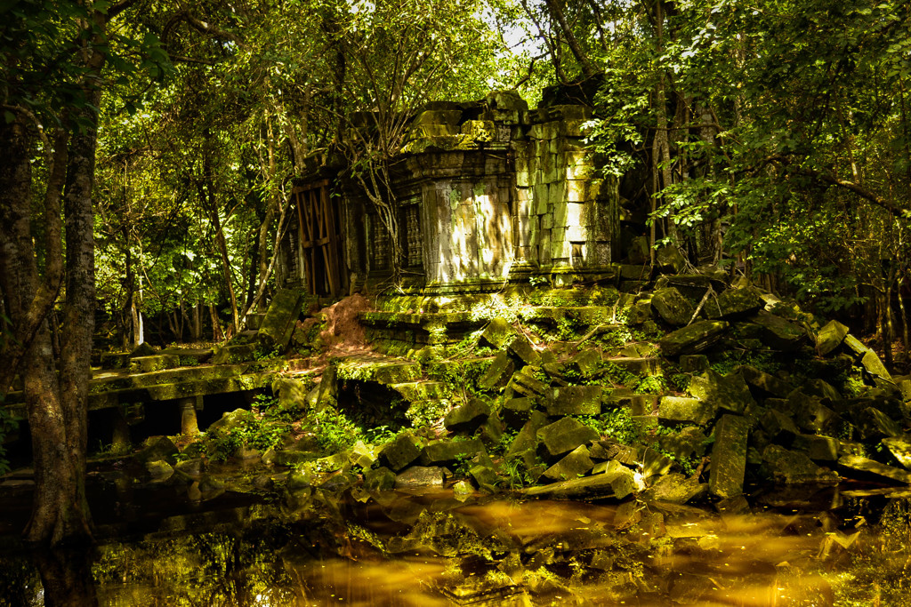 Beng Mealea 12　木洩れ日