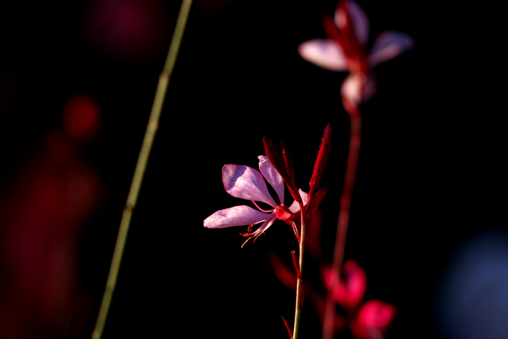 冬の記憶 03　哀歌・エレジー