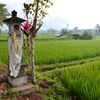 Bali Ubud_05　祠