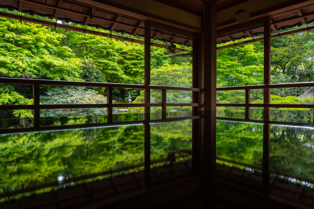 旧竹林院 青もみじ