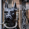 Watchdog