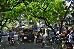 Hà Nội 街路樹のアーケード