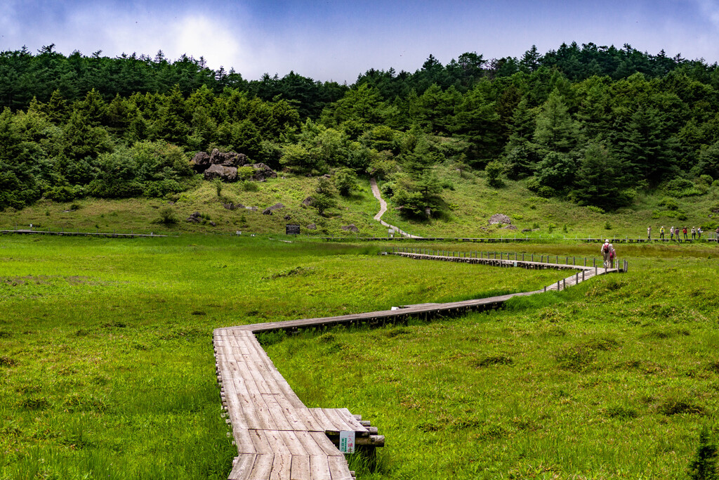 池之平湿原