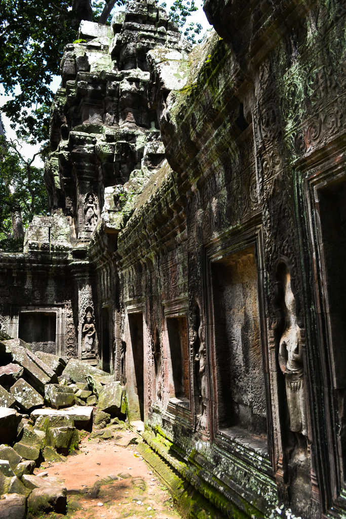 Ta Prohm 04　梵天の古老