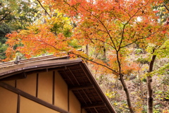 三渓園 06春草盧 #1