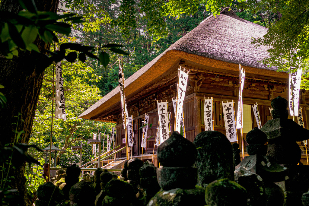 鎌倉 漫ろ歩き 01　杉本寺