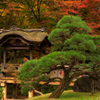 三渓園 09　亭榭