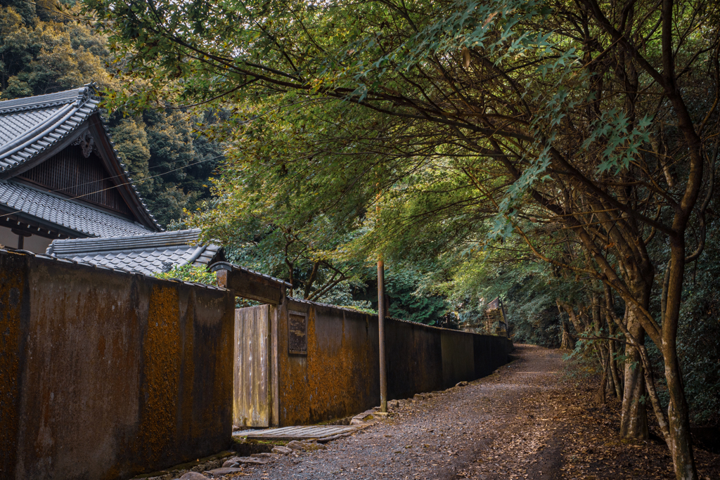 路 奥の院へ